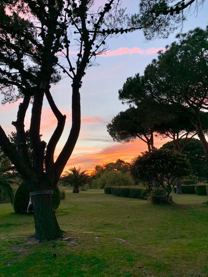 L' Appart Du Golf Saint-Cyprien (Pyrenees-Orientales) Exterior foto